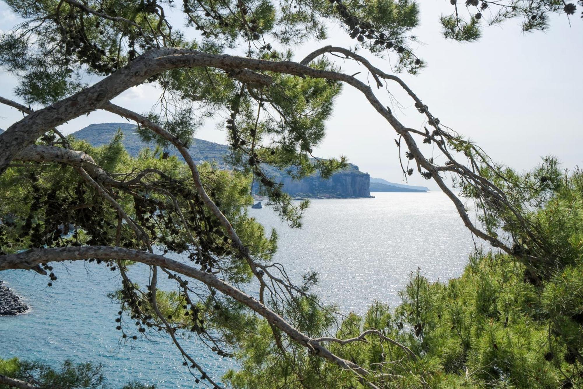 Villa La Galetta Вико Екуензе Екстериор снимка